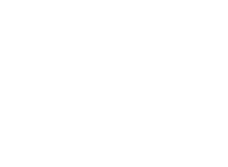 Berkovich Media Logo